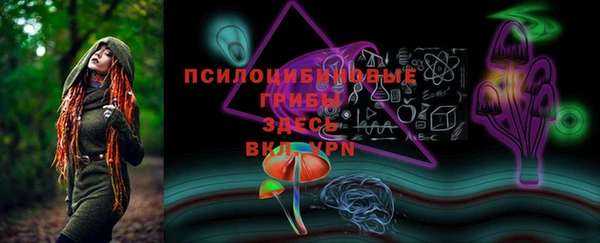 apvp Лагань