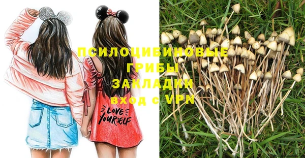 jwh Ладушкин