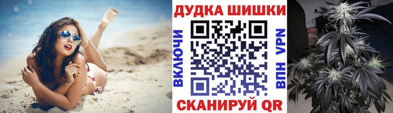 как найти закладки  это клад  Каннабис планчик  Суджа 